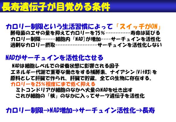 資料：長寿遺伝子が目覚める条件