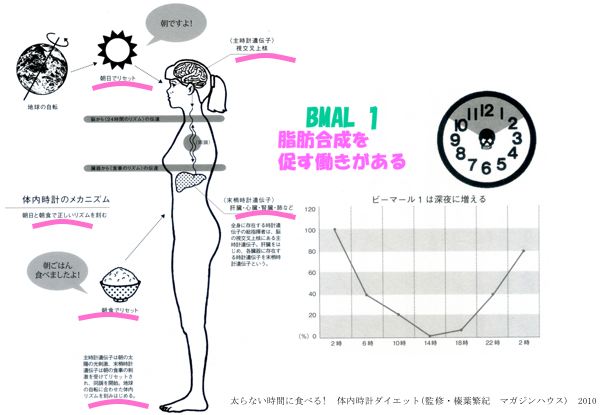 資料：図解