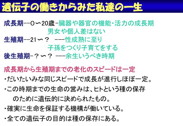 資料：遺伝子の働きからみた私達の一生