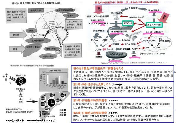 資料：図解