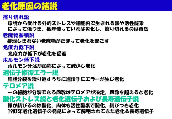 資料：老化原因の諸説