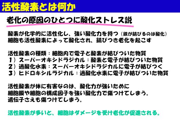 資料：活性酸素とは何か