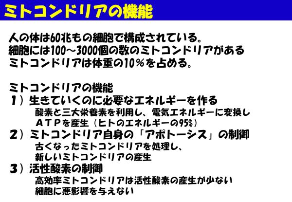 資料：ミトコンドリアの機能