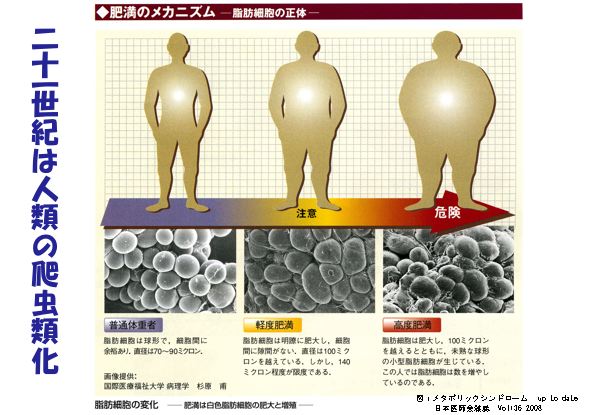 資料：21世紀は人類の爬虫類化