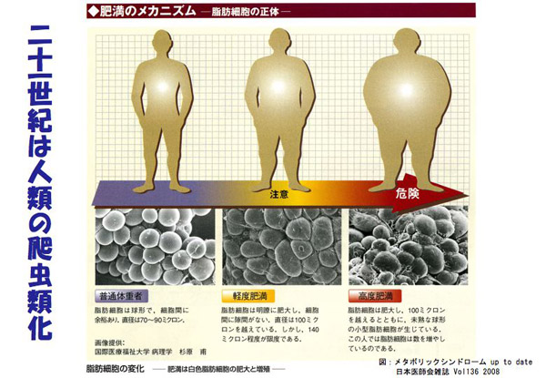 二十一世紀は人類の爬虫類化