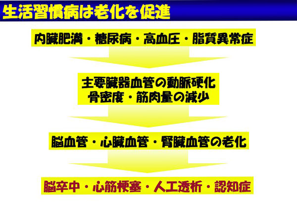 生活習慣病は老化を促進