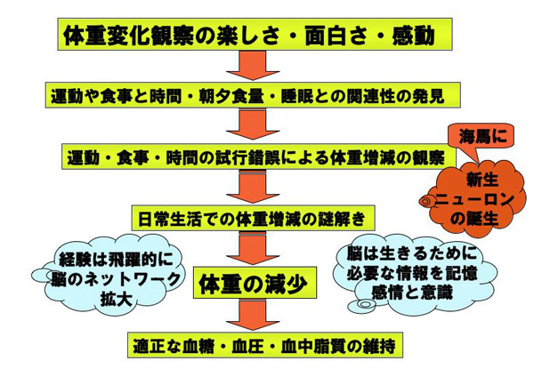 適正な血糖・血圧・血中脂質の維持