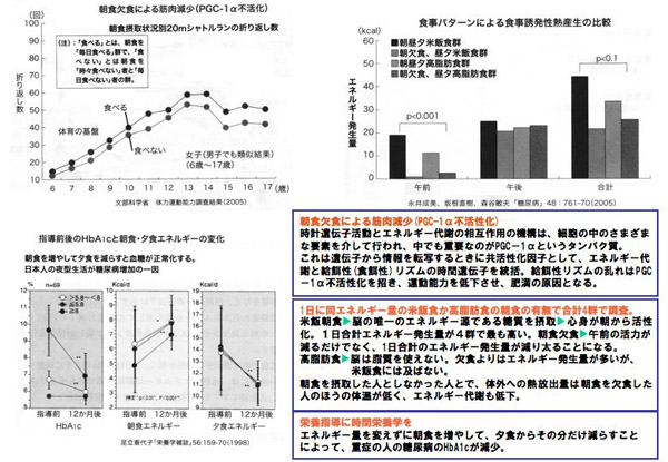 時計遺伝子と食事リズム