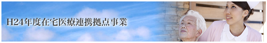 平成24年度在宅医療連携拠点事業